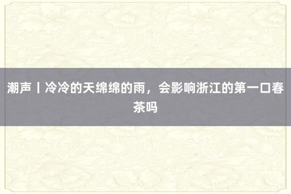 潮声丨冷冷的天绵绵的雨,会影响浙江的第一口春茶吗